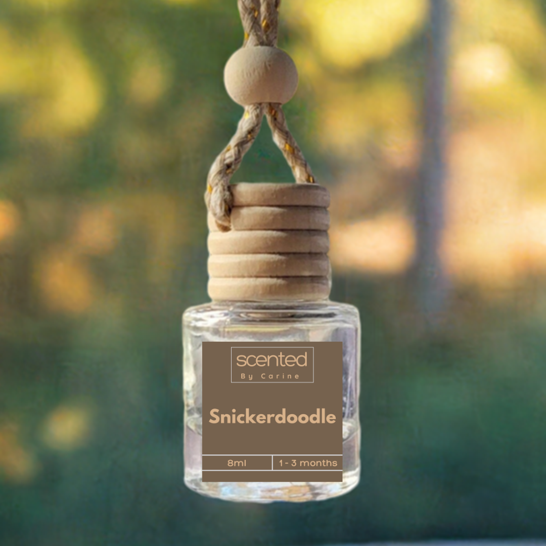 Winter Holiday Scented Car Fresheners