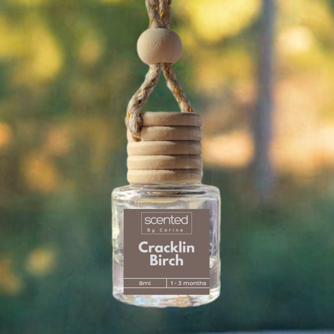 Winter Holiday Scented Car Fresheners