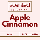 Apple Cinnamon-Car Diffuser-Scented by Carine Car Air Freshener Diffuser