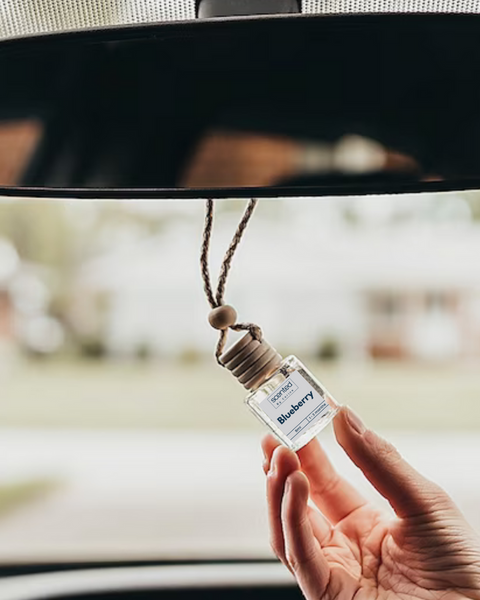 Blueberry-Car Diffuser-Scented by Carine Car Air Freshener Diffuser