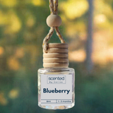 Blueberry-Car Diffuser-Scented by Carine Car Air Freshener Diffuser