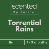 Torrential Rains-Car Diffuser-Scented by Carine Car Air Freshener Diffuser