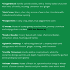 Winter Holiday Scented Car Fresheners