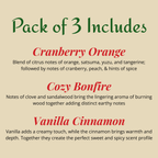 Winter Holiday Scented Car Fresheners