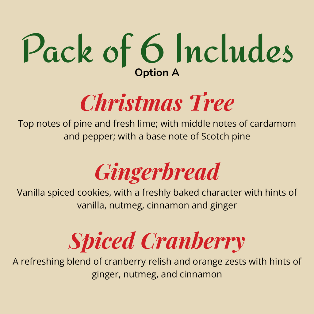 Winter Holiday Scented Car Fresheners