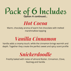 Winter Holiday Scented Car Fresheners