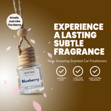 Blueberry-Car Diffuser-Scented by Carine Car Air Freshener Diffuser