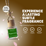 Peppermint-Car Diffuser-Scented by Carine Car Air Freshener Diffuser